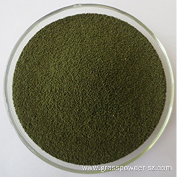 Organic Wheat Juice Green Powder